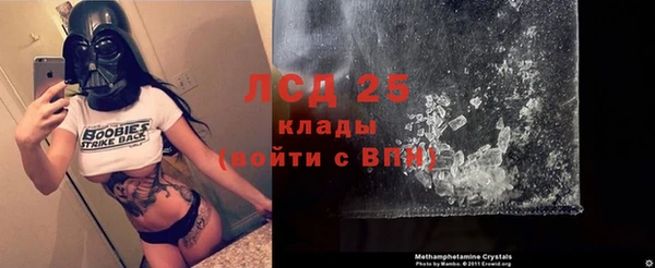 амф Верея