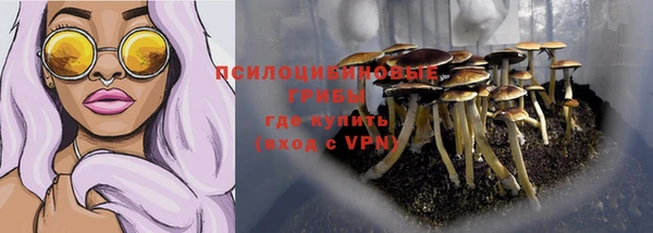 jwh Верхний Тагил