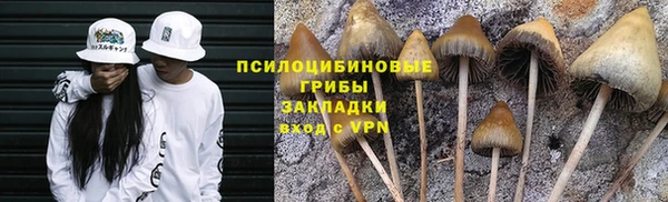 амф Верея