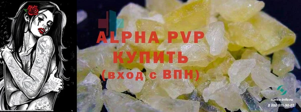 амф Верея