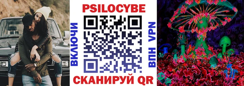Галлюциногенные грибы MAGIC MUSHROOMS  закладки  Моздок 