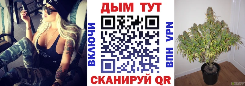 Конопля Amnesia Моздок
